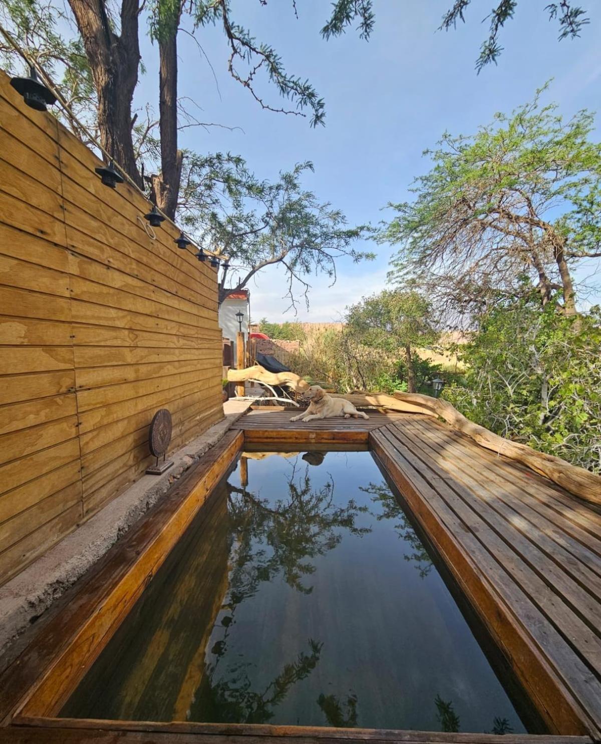 Anka Lodge Quitor San Pedro de Atacama Exteriér fotografie