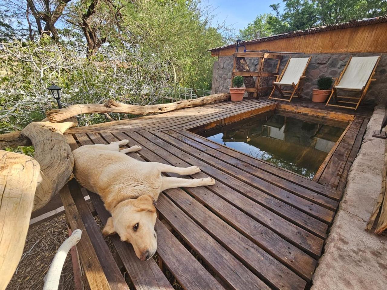 Anka Lodge Quitor San Pedro de Atacama Exteriér fotografie