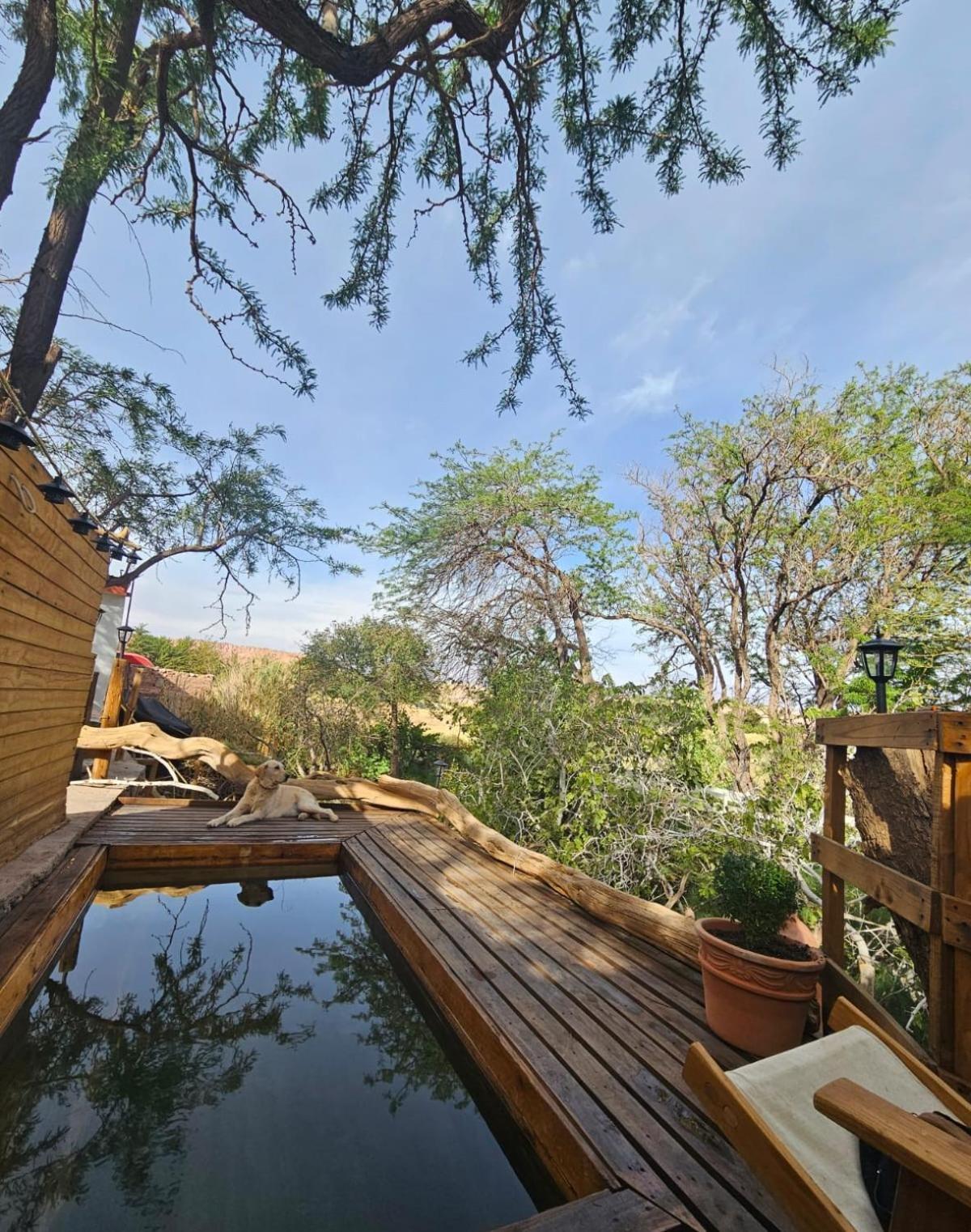 Anka Lodge Quitor San Pedro de Atacama Exteriér fotografie
