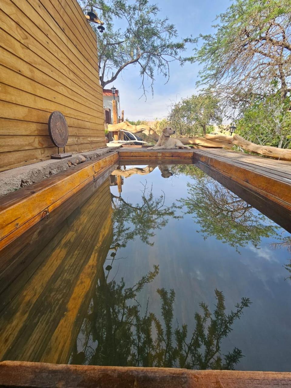 Anka Lodge Quitor San Pedro de Atacama Exteriér fotografie